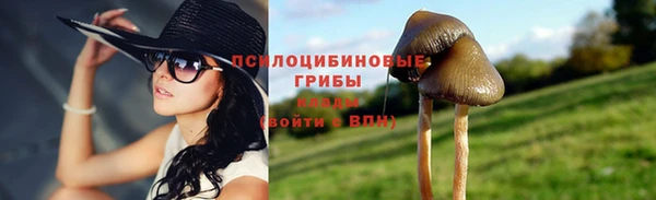 наркотики Белокуриха