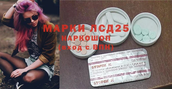 ГАЛЛЮЦИНОГЕННЫЕ ГРИБЫ Белоозёрский