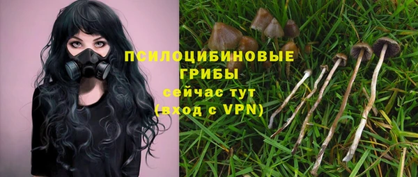 наркотики Белокуриха