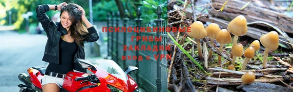 наркотики Белокуриха
