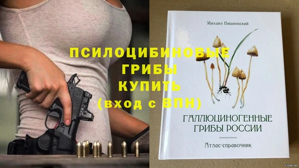 СК Беломорск